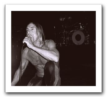 iggy pop.jpg