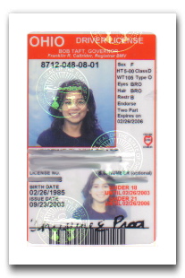 drivers-license.jpg