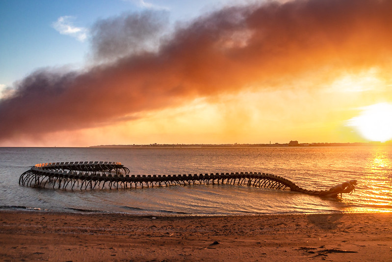 A sea monster skeleton at sunset