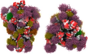 microscopic rendering of a COVID-19 spike protein